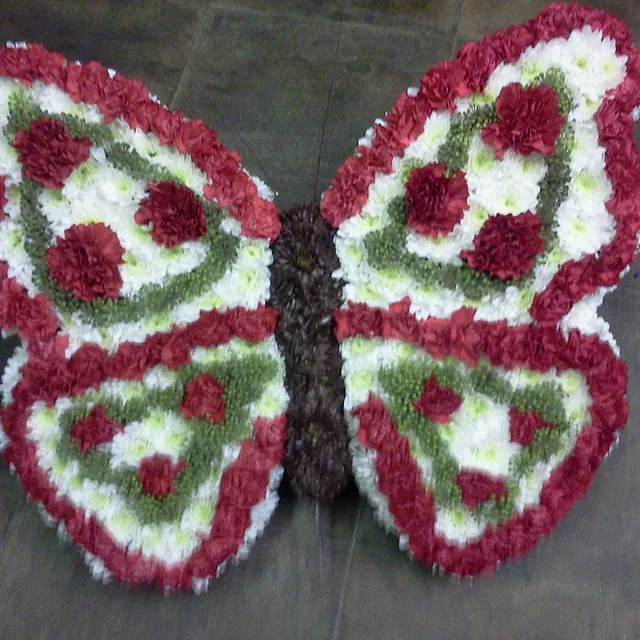butterfly flowers