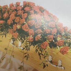 Coffin spray of all roses 4ft from £150. 5ft from £195