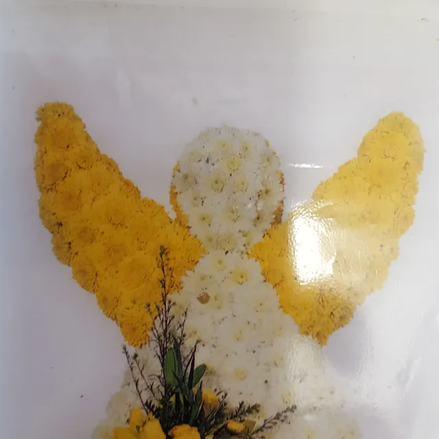 Angel from £95
