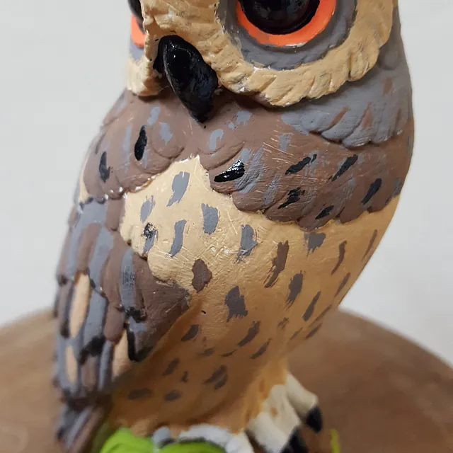 owl flowers