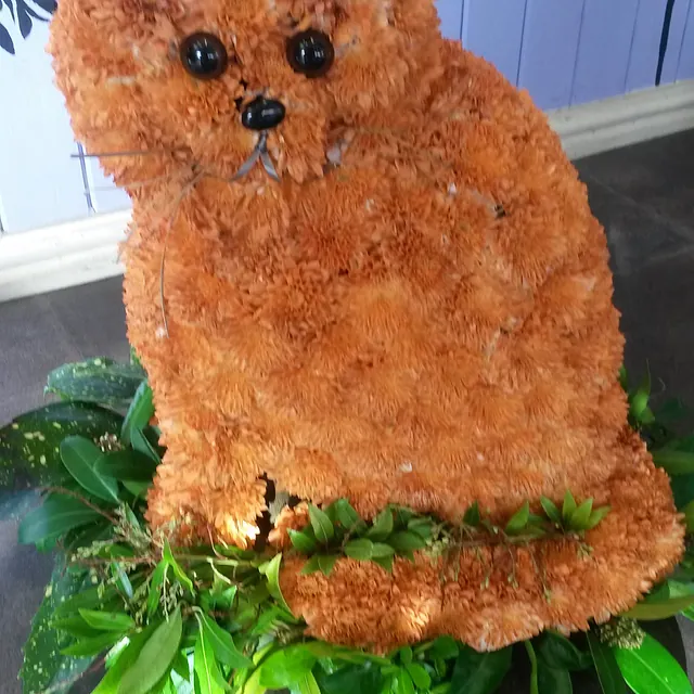 cat flowers